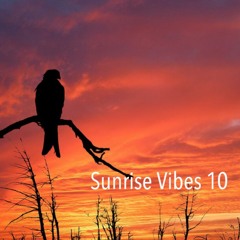 Sunrise Vibes 10