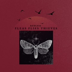 Fleas Flies Thieves