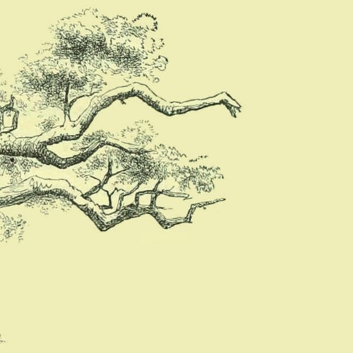 Beautiful songs I have discovered here
