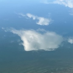 Still Waters (Nature Version)