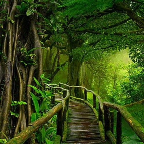 Acid DnB Jungle - St0ffodopul0S