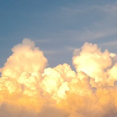 in this shirt  cover