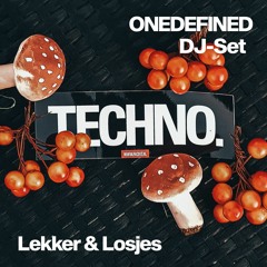 LEKKER & LOSJES // Techno House Mix