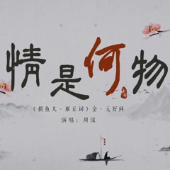 Tình là gì? / 情是何物? - Châu Thâm / 周深