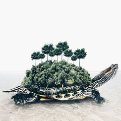 The Way They Leave