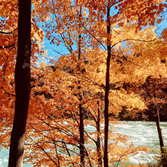 seein ghosts when the sun's out