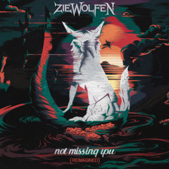 Not Missing You (Reimagined)
