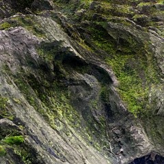 Fear Of Turning Into Stone
