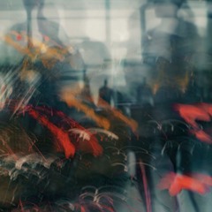 Module 240624 (Sketch Version)