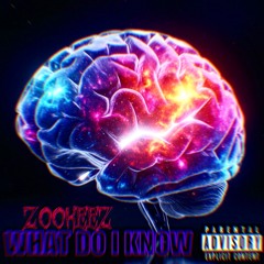 Z00KEEZ ~ What Do I Know (Beat Only)