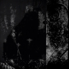 M3MORY - désordonnée