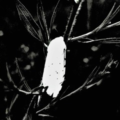 bring me in (unexpanded)