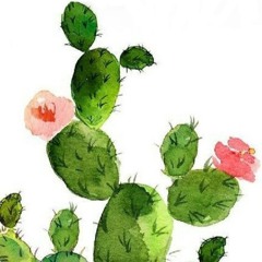 compo20240510 (Cactus)