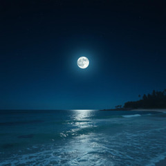 Noctyra