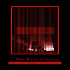 Djarmee - I Was Born Electro (Fille De Minuit Remix)