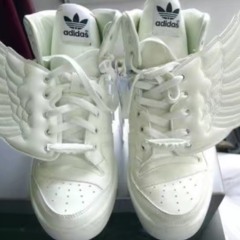 L veux fly (shvde)