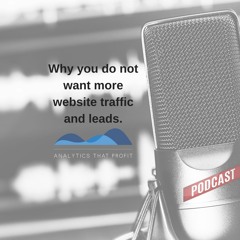 Why you do not want more website traffic and leads.