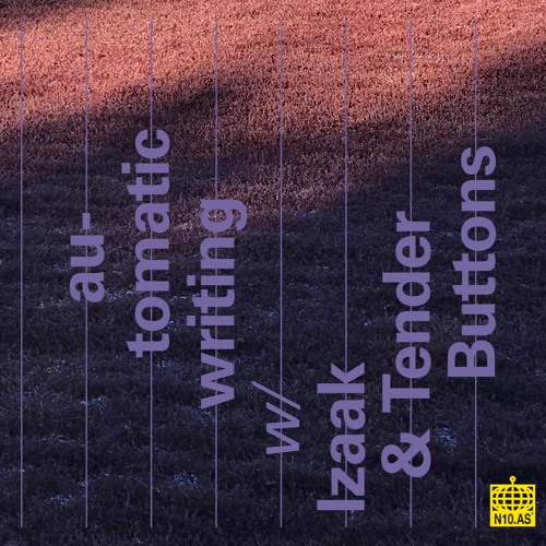 automatic writing w/ Izaak & Tender Buttons (January 2021)