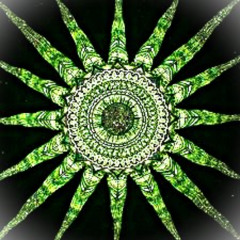 ☀️GecKo_The Sun Was Green☀️Mix Electro/TeKno