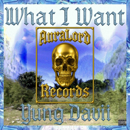 What I Want (Prod. Necu II)