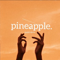 pineapple (prod. jang0)