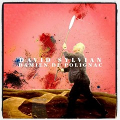 David Sylvian & Damien de Polignac - The Mightychillers