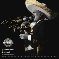Mix De Rancheras De Vicente, Gruperas