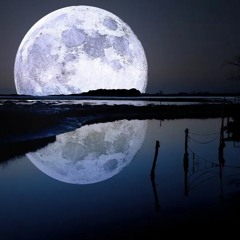 Locked Eyes With The Moon