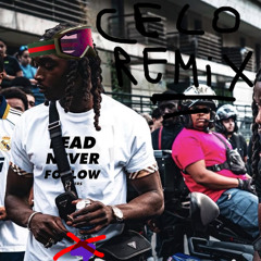 La Rvfleuze - PIB (step team + chicago remix)