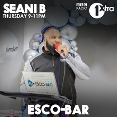 ESCO-BAR GAMROCK 90'S DANCEHALL SPECIAL GUEST MIX  SEANI B RADIO 1XTRA XMAS SPECIAL