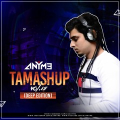 Tamashup Vol. 13 [Deep Edition] (Bollywood Mashups)
