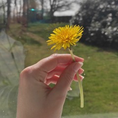 Hoy Señor te doy gracias. FTTL (Latvia/Spain)