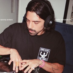 Radio Armable 011 - Ranma Entero