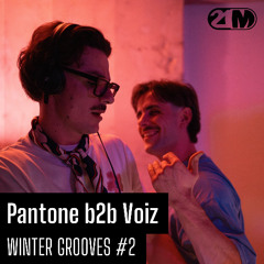 VOIZ B2B PANTONE @ WINTER GROOVES #2