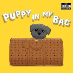Puppy In My Bag