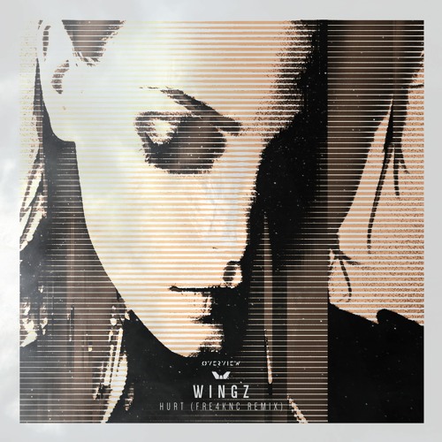 Wingz - Hurt (Fre4knc Remix) [Patreon Exclusive]
