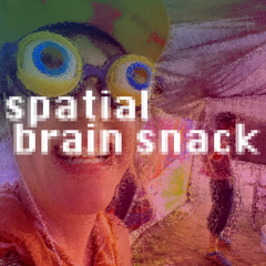 SPAtial BrAin snaCk