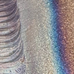 acid & water
