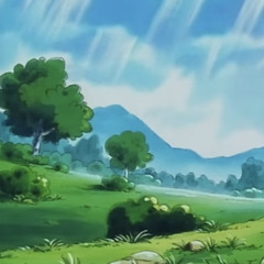 dp.speak to the trees