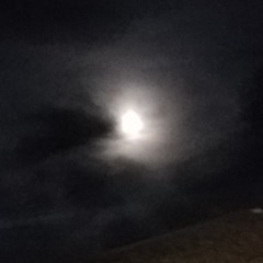 Boi ( Instrumental )