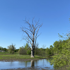 I'm Okay Now Prod. Sekko