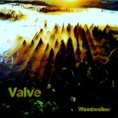 Valve-Strength of the roots