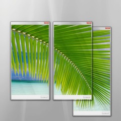 Casket (prod. 15drtt)