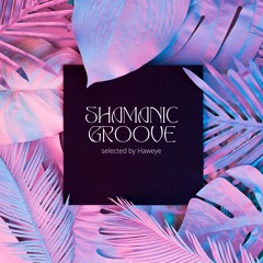 Shamanic Groove 01