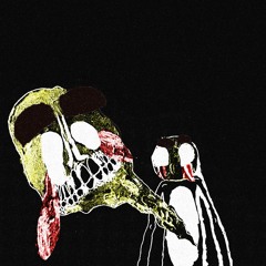 .sinus