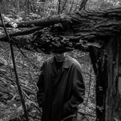 Andrius Gruodis - Inter