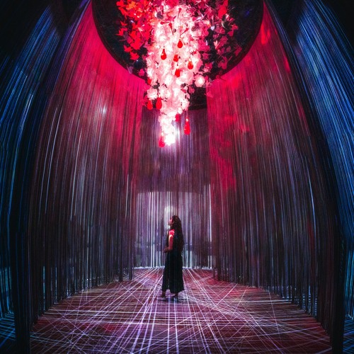 Pensive Palpitations Pumping To The Ecstatic Kiss