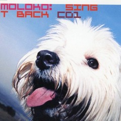 Moloko - Sing It Back (Daikon x CaRot Remix)
