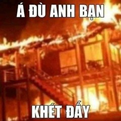 Yêu Vội Vàng Remix - Lê Bảo Bình