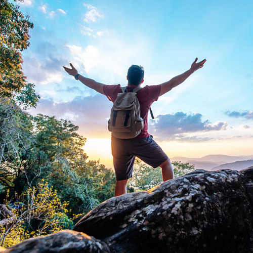 Про Путешественника